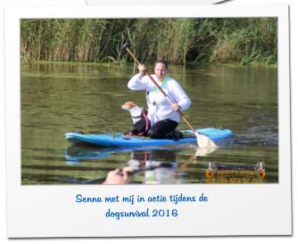 Senna met mij in actie tijdens de dogsurvival 2016