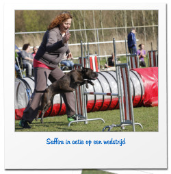 Saffira in actie op een wedstrijd