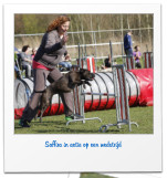 Saffira in actie op een wedstrijd
